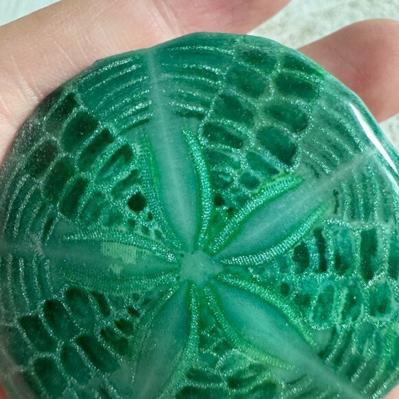 Resin Coated Sand Dollar Pin Brooch - Picture 6 of 8
